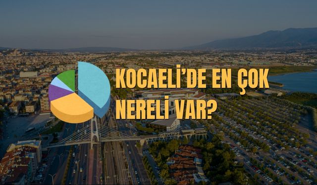 Kocaeli'de En Çok Nereli Var​?