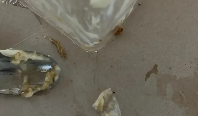 Kocaeli'de İlginç Olay!