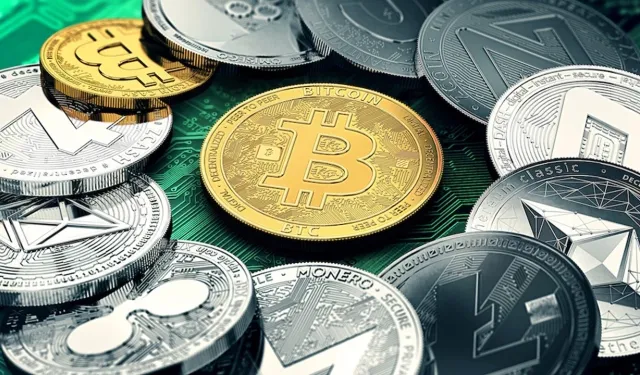 TMSF, kripto devine el koydu