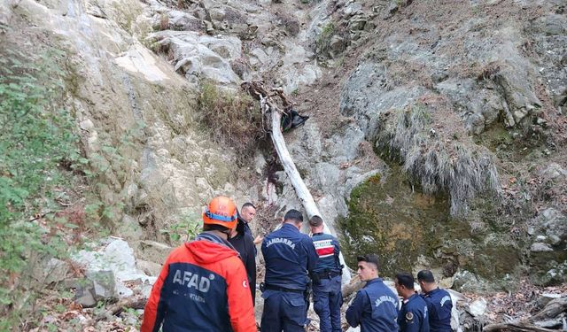 Ağaç Kesim İşinde Çalışan Genç Kayıptı, Cansız Bedenine Ulaşıldı