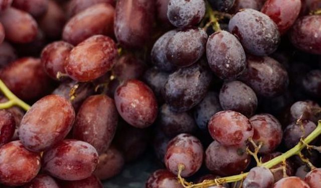 Antik Çiftçiler Şaraptan Vazgeçmedi