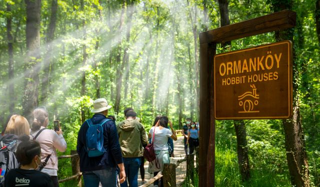 Ormanya ve Kuzuyayla ziyaretçi rekoru kırdı
