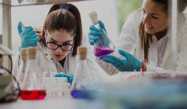 Sutta Olmayan Laboratuvar Hizmeti Nedir?