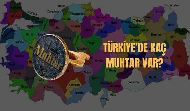 Türkiye’de Kaç Muhtar Var? Resmi Verilere Göre Muhtar Sayısı