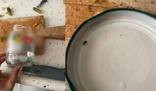 Kocaeli'de aldığı turşudan hamam böceği çıktı