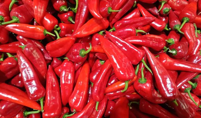 Doğu Kışla Pazarında Ucuzluk Devam Ediyor