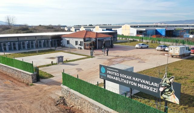 Sokak Hayvanlarına 5 Dönümlük Yeni Yaşam Alanı