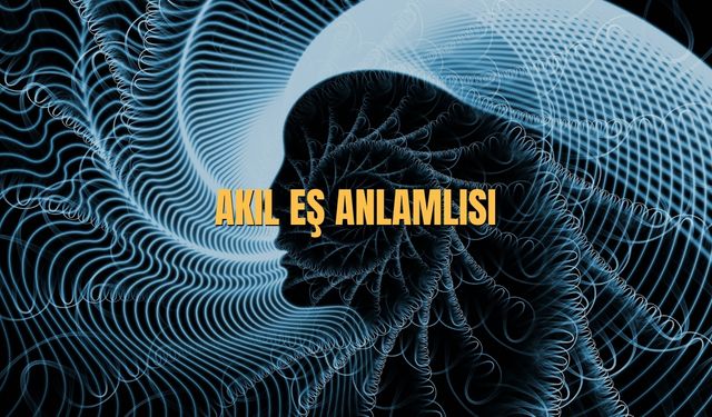 Akıl Eş Anlamlısı Nedir? Akıl Kelimesinin Eş Anlamlısı