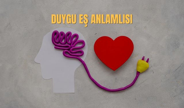 Duygu Eş Anlamlısı Nedir? Duygu Kelimesinin Eş Anlamlısı