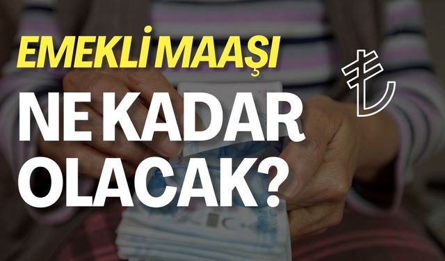 Emekli Maaşı Ne Kadar Olacak?