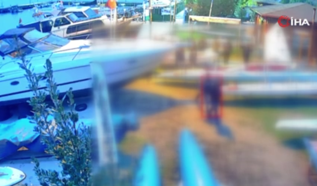 Derince’de Kaçak Deniz Küreği Operasyonu