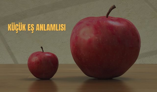 Küçük Eş Anlamlısı Nedir? Küçük Kelimesinin Eş Anlamlıları
