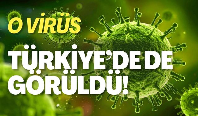 O Virüs Türkiye'de De Görüldü!
