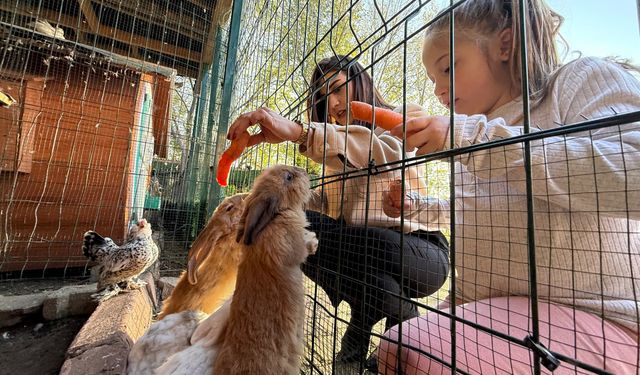 Keçi, ördek, tavuk, tavşan: Hepsinin görevi "Çok özel"