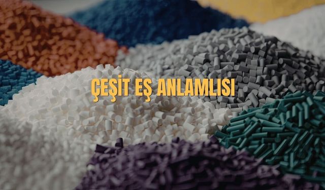 Çeşit Eş Anlamlısı Nedir? Çeşit Kelimesinin Eş Anlamlısı