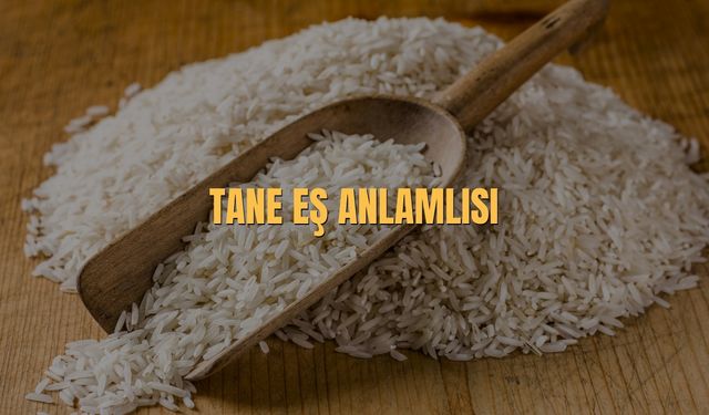 Tane Eş Anlamlısı Nedir? Tane Kelimesinin Eş Anlamlısı