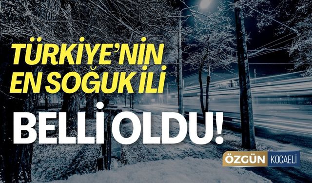 Türkiye'nin En Soğuk İli Belli Oldu