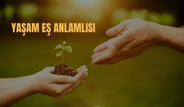 Yaşam Eş Anlamlısı Nedir? Yaşam Kelimesinin Eş Anlamlısı