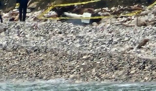 Gizemli Cisim Karaya Vurdu