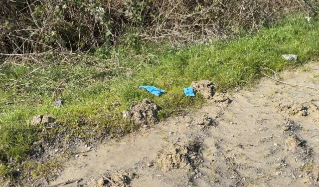 İş Adamının Elini Ayağını Bağlayıp Toprağa Gömdüler