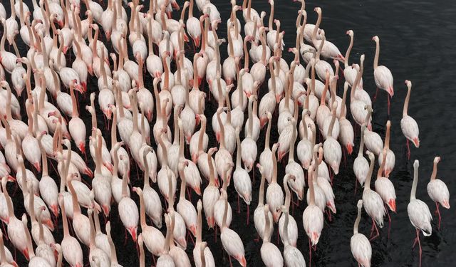 Körfezde Kartpostallık Görüntüler