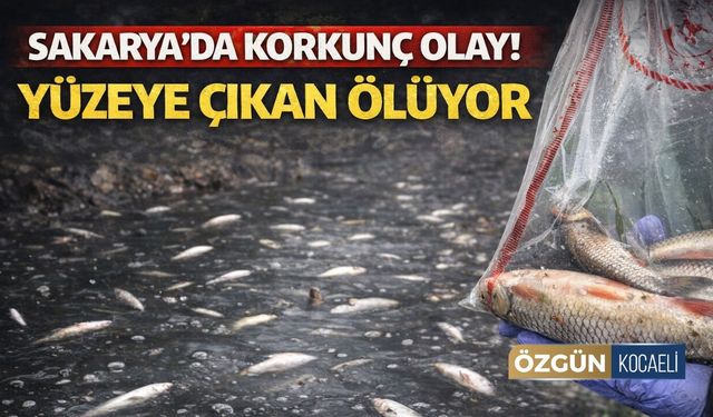 Korkunç Olay! Yüzeye Çıkan Ölüyor