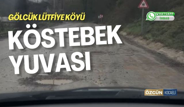Gölcük Lütfiye Köyü Köstebek Yuvası!