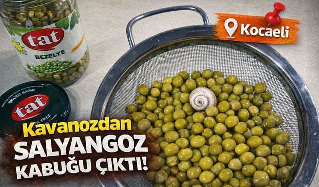 Aldığı Üründen Salyangoz Kabuğu Çıktı!