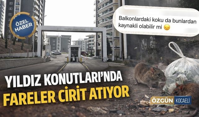Yıldız Konutları'nda Fareler Cirit Atıyor!