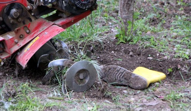 Çapa Makinesine Bacaklarını Kaptırdı!