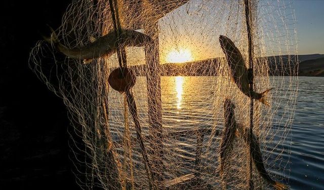 Balıkçılar Dikkat! Av Yasağı Tarihi Netleşti