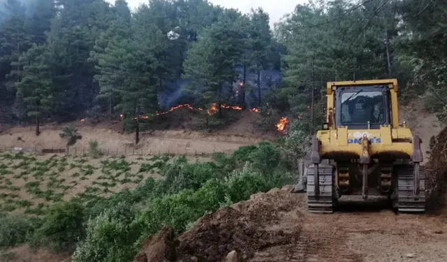 'Şakalaşırken'  92 Hektar Orman Yakan Vandal Cezaevine Gönderildi