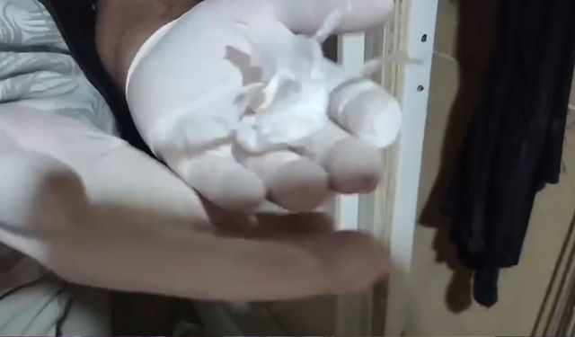 Sakarya’da Bonzai Operasyonu