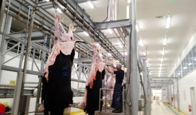 İzmit Mezbahası’nda 145 Hayvanın Kesimi Yapıldı