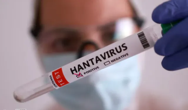 İspanya’da Hantavirüs Görüldü!