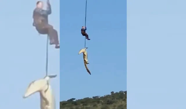 Kayıp İş İnsanı Timsah Midesinden Çıkartıldı