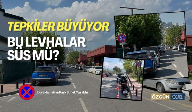 Tepkiler Büyüyor! Bu Levhalar Süs mü?