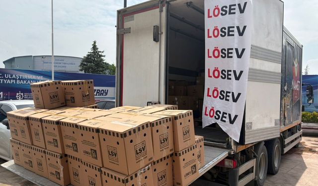 LÖSEV’den tedavi gören ailelere yıl boyu protein desteği