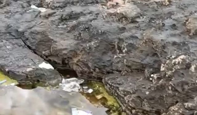Doğaya hayran kaldılar, ardında çöp bıraktılar