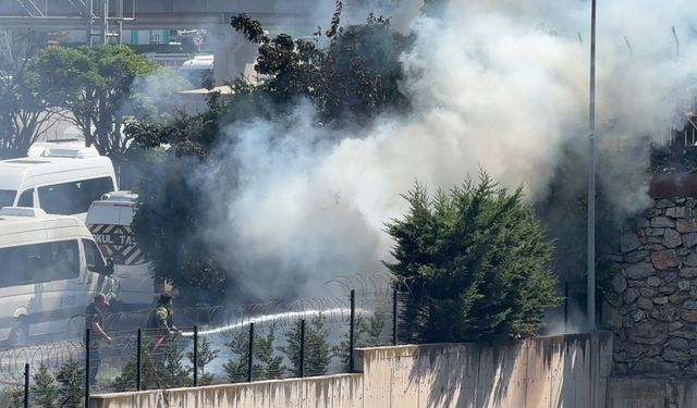 Kocaeli'de Ağaçlık Alanda Yangın