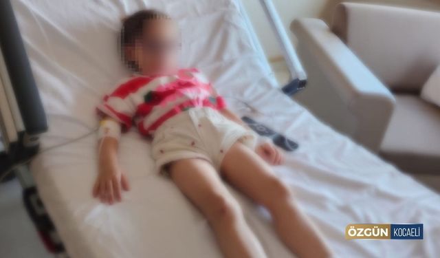Anaokulunda Fare Zehiri İddiası: 5 Yaşındaki Çocuk Hastaneye Kaldırıldı