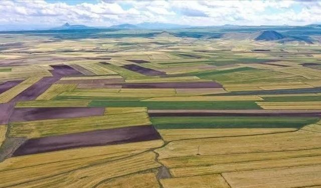 Gölcük’te 13 dönümlük tarla icradan satışa çıkarıldı