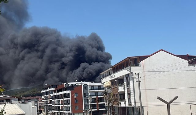 Körfez Kent'te Yangın! Dumanlar Gökyüzünü Kapladı
