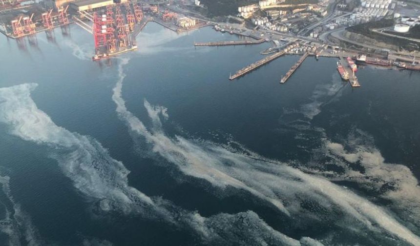 Körfez’de yeniden ‘deniz salyası’ görüntüsü 