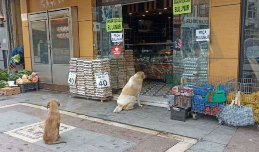 Günün ilk müşterileri yüzleri güldürdü