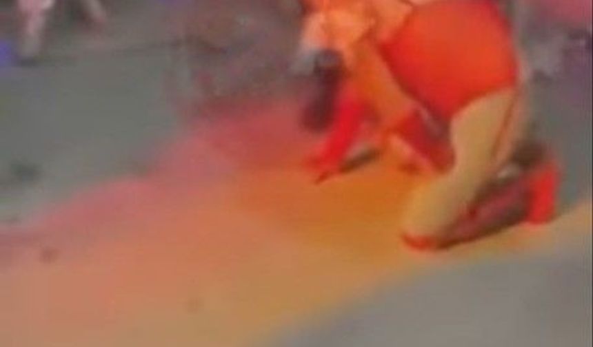 Damada jartiyer giydirdiler! Bursa'da damada jartiyer giydirip boğazına tasma taktılar