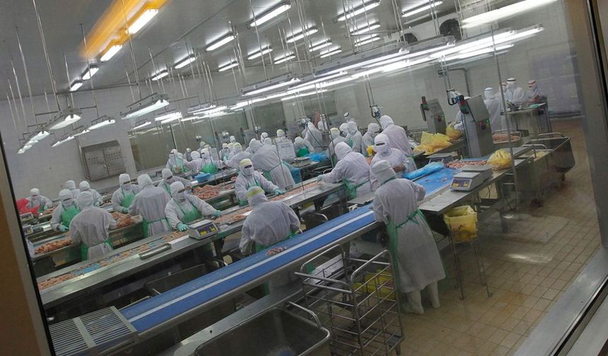 Kuş Gribi Alarmı! 460 Bin Tavuk İtlaf Edilecek