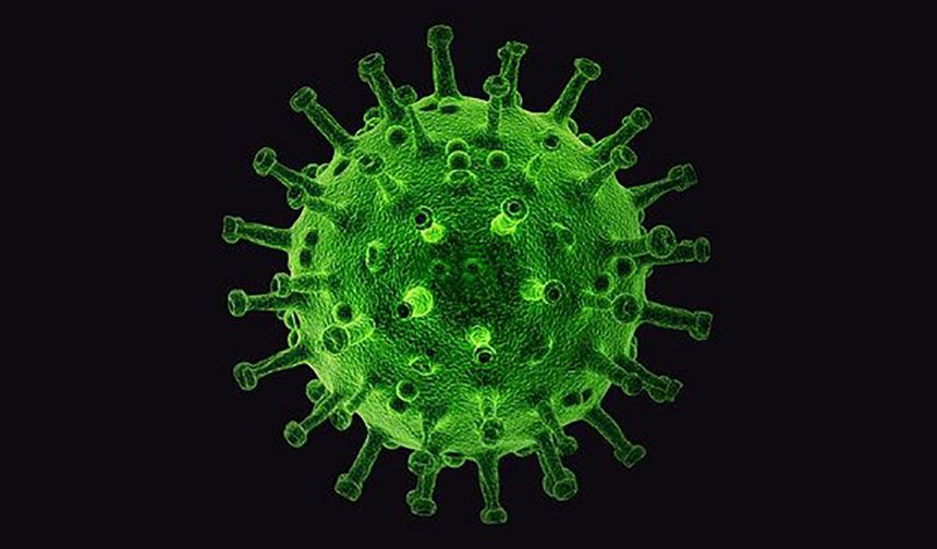 Yıllar sonra Türkiye'de tekrar görüldü!