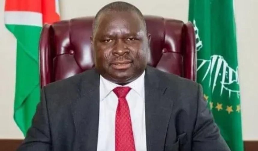 Adolf Hitler'in Afrika'daki seçimi kazanması bekleniyor