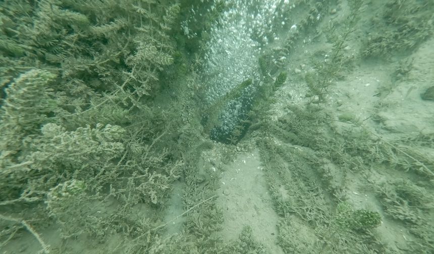 Sapanca Gölü'ndeki kabarcıkların verdiği endişe artıyor!